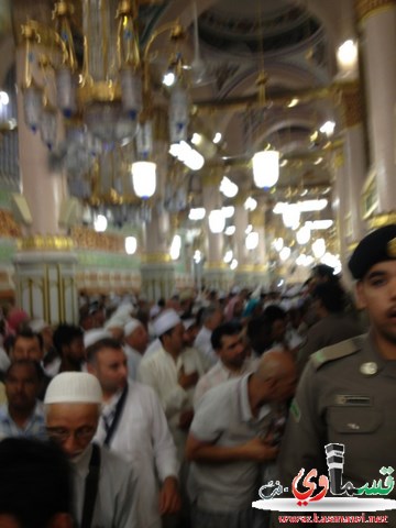صور من داخل الحرم النبوي 